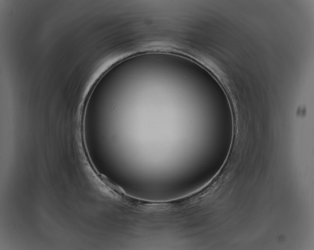 X0000097771392200803071307