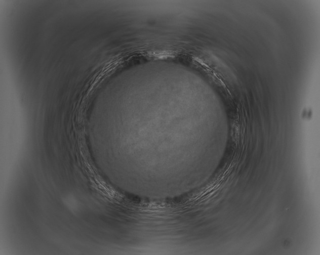 X0000097771393200803071307