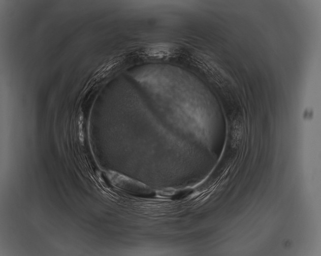 X0000097771394200803071307