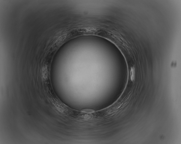 X0000097771395200803071307