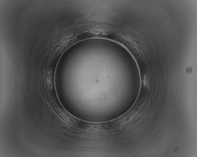 X0000097771396200803071307