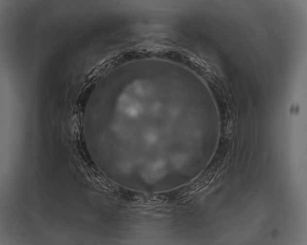 X0000097771397200803071307