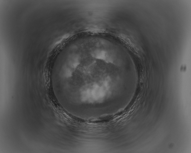 X0000097771398200803071307