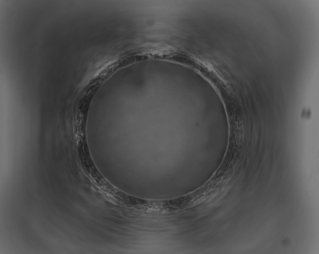 X0000097771399200803071307