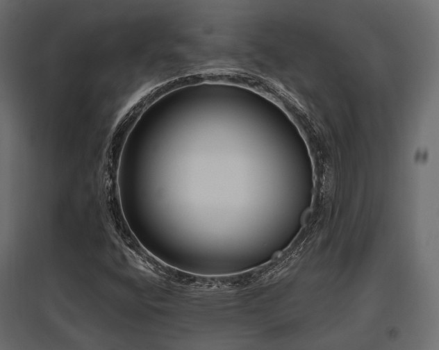X0000097771400200803071307