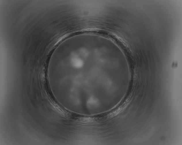 X0000097771401200803071307
