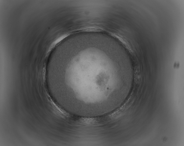 X0000097771402200803071307