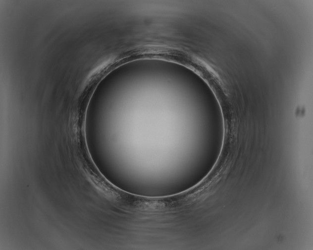 X0000097771403200803071307
