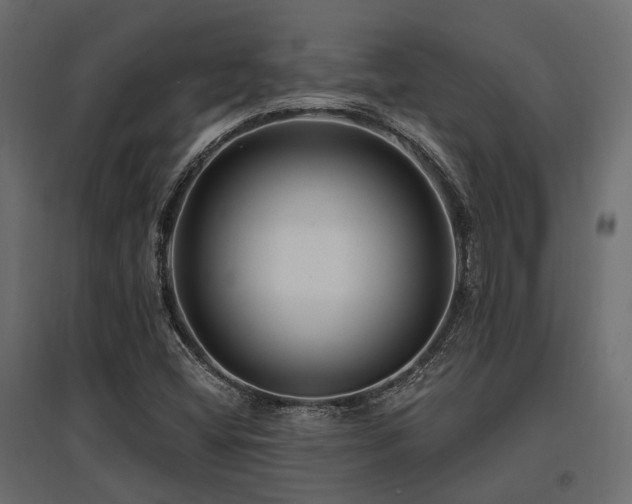 X0000097771404200803071307