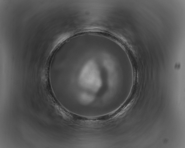 X0000097771405200803071307