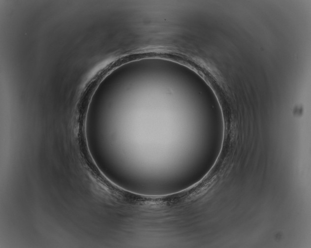 X0000097771406200803071307