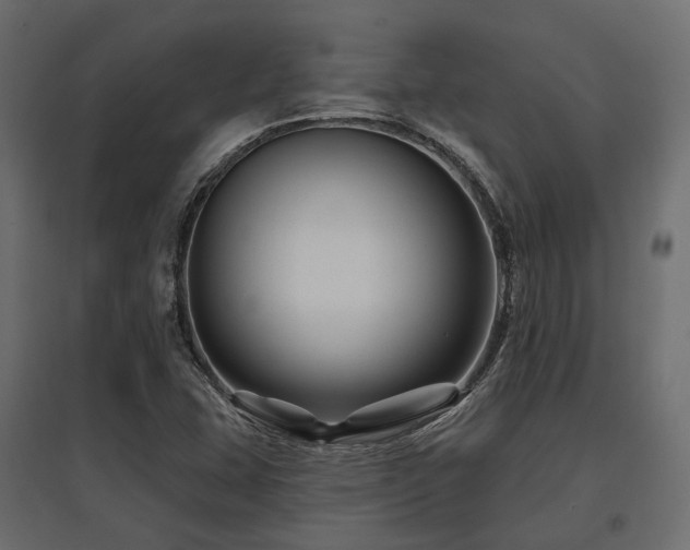 X0000097771407200803071307