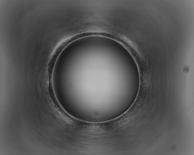 X0000097771408200803071307