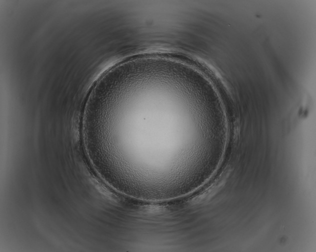 X0000097771409200803071307