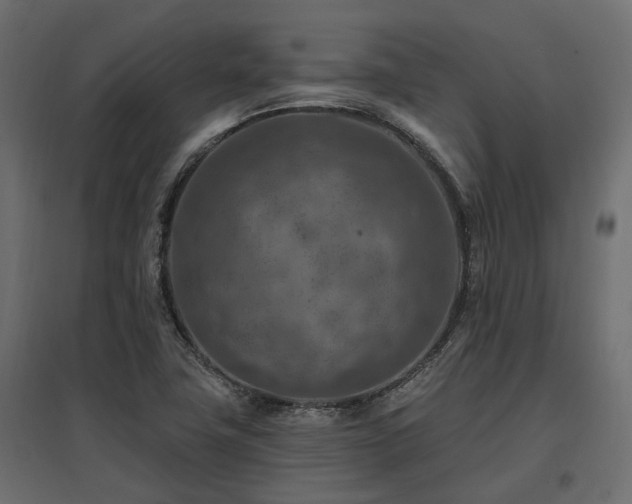 X0000097771411200803071307