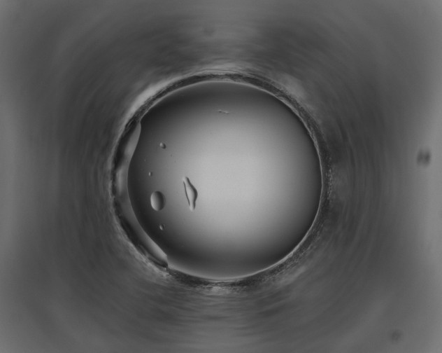 X0000097771412200803071307