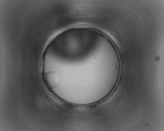 X0000097771413200803071307
