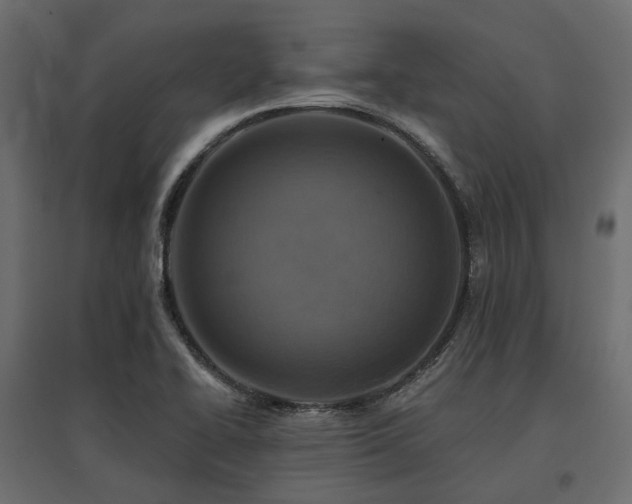 X0000097771414200803071307