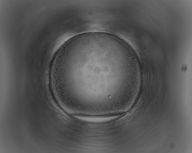 X0000097771415200803071307
