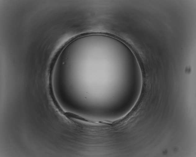 X0000097771416200803071307