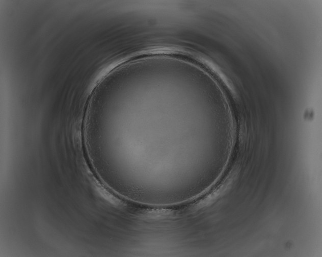 X0000097771417200803071307