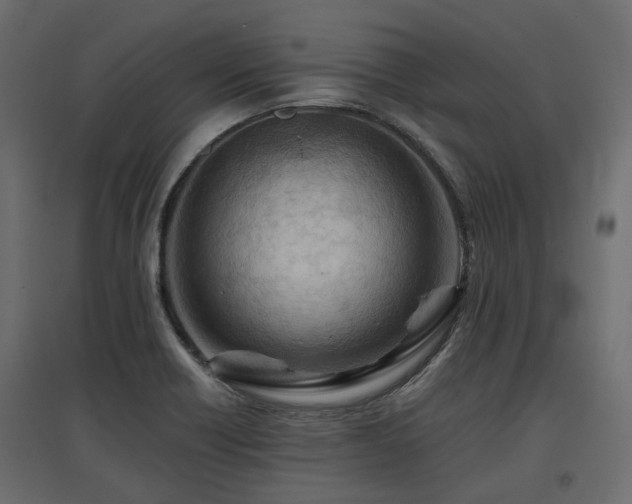 X0000097771418200803071307