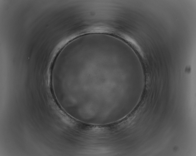 X0000097771419200803071307