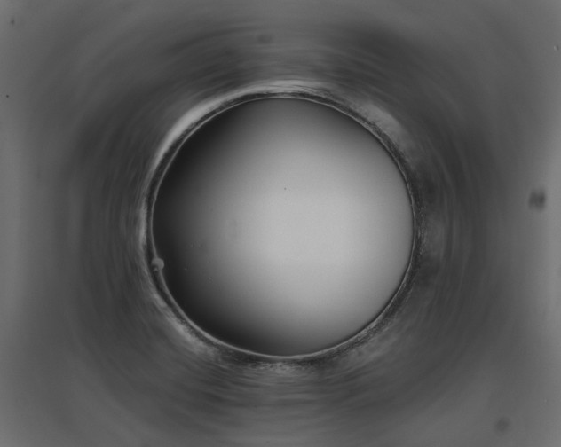 X0000097771420200803071307