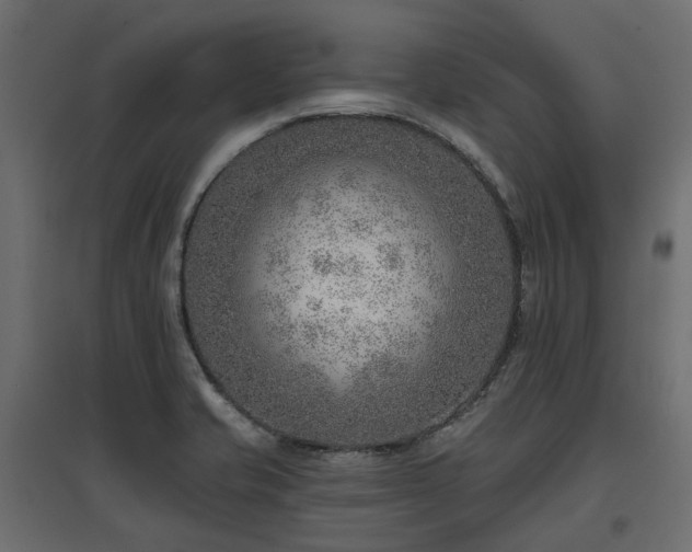 X0000097771421200803071307