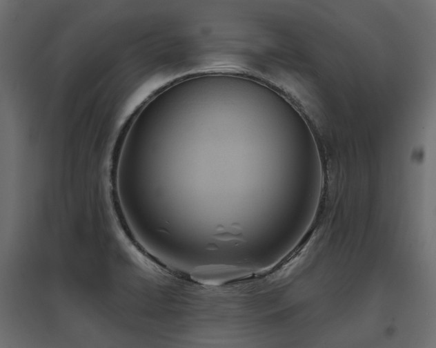 X0000097771422200803071307