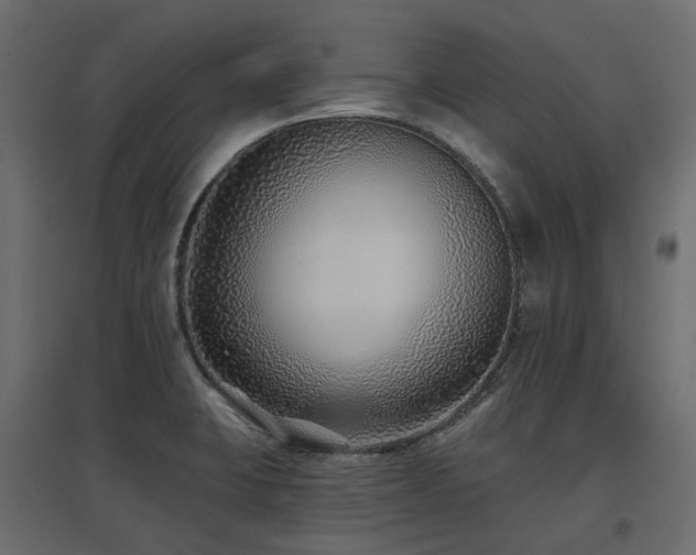 X0000097771423200803071307