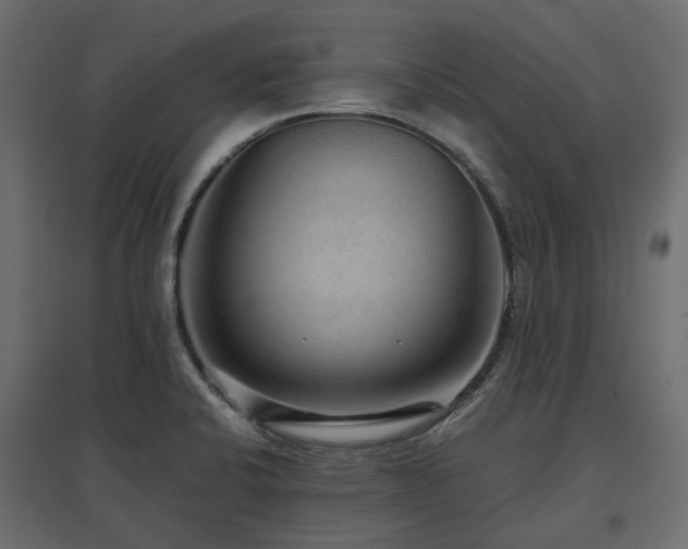 X0000097771424200803071307