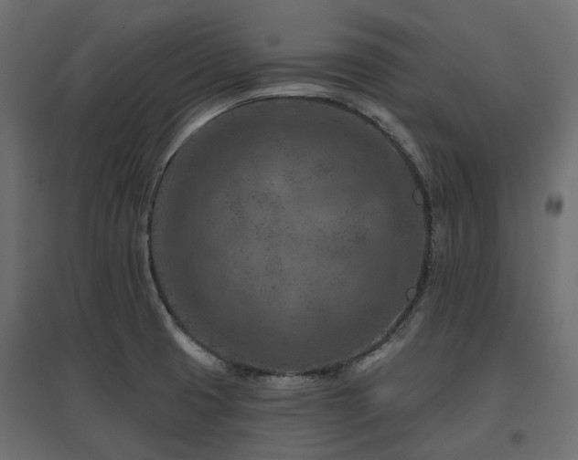 X0000097771425200803071307
