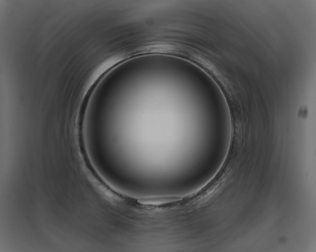 X0000097771426200803071307