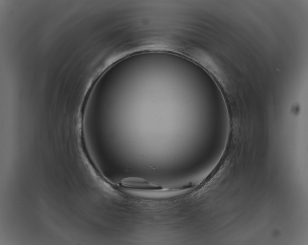 X0000097771428200803071307