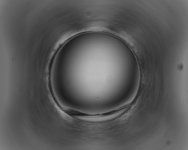 X0000097771430200803071307