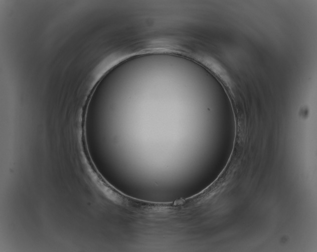 X0000097771431200803071307