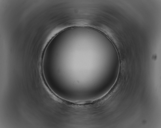 X0000097771432200803071307