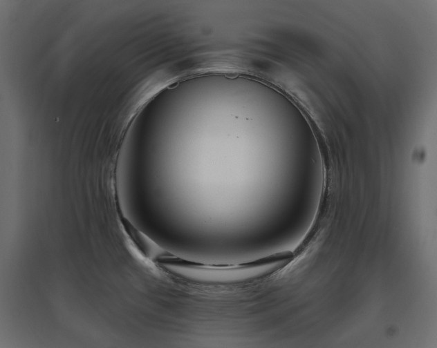 X0000097771433200803071307
