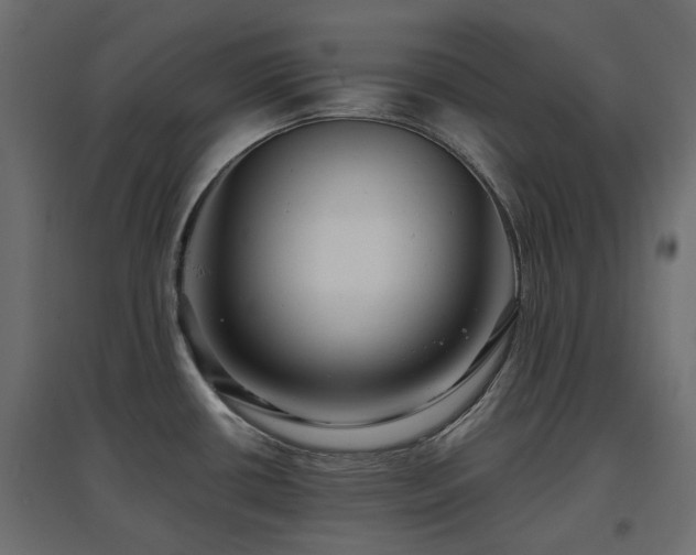 X0000097771434200803071307