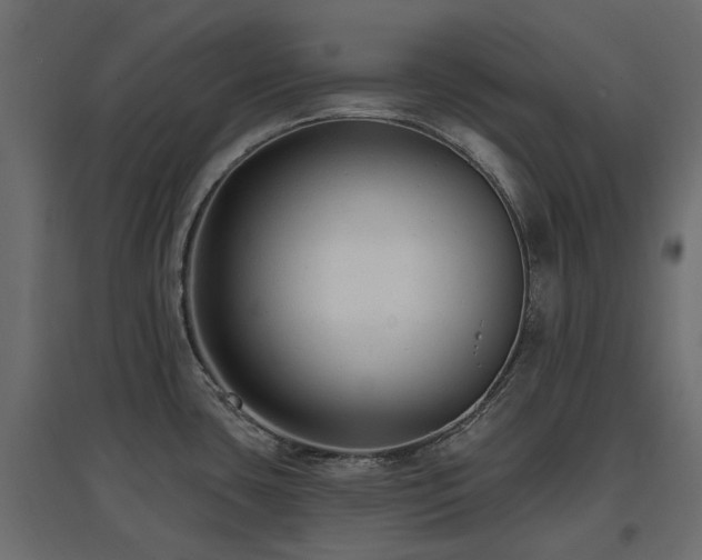X0000097771435200803071307