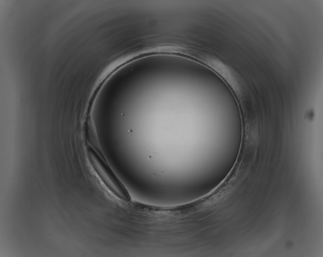 X0000097771436200803071307