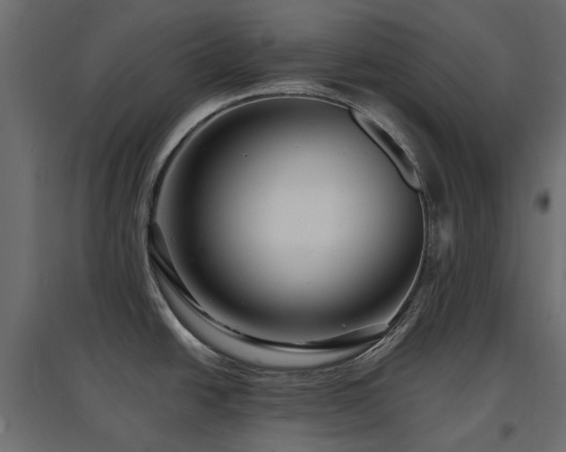 X0000097771438200803071307