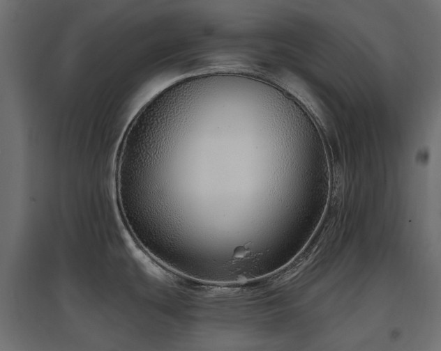 X0000097771439200803071307