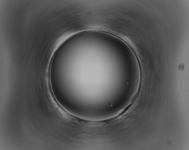 X0000097771440200803071307