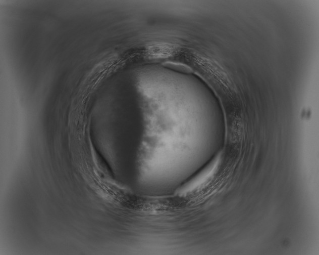 X0000097771441200803071307