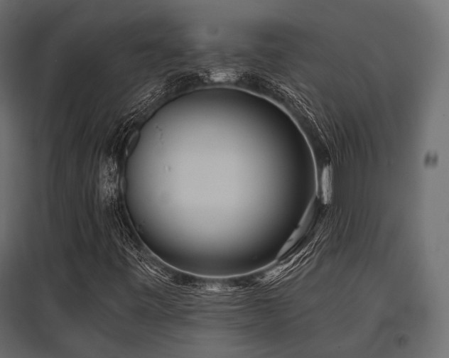 X0000097771443200803071306