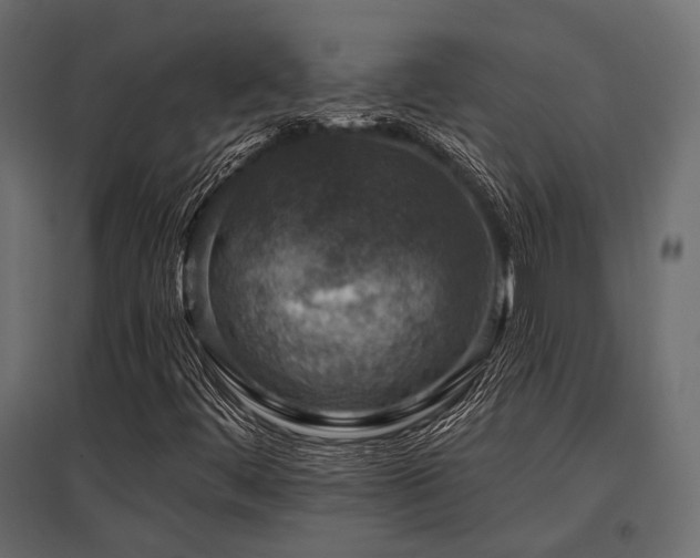 X0000097771444200803071306