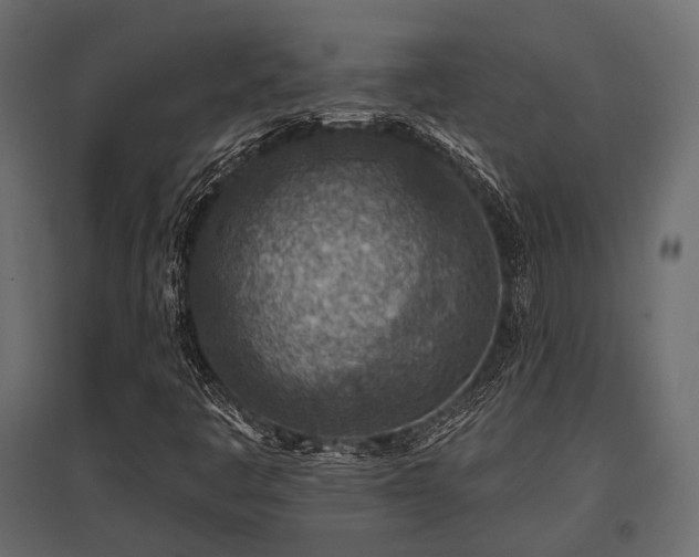 X0000097771445200803071306