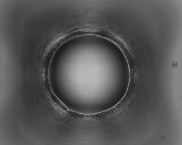 X0000097771448200803071306